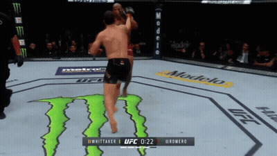 Two Men Fighting In Boxing Ring UFC Fight Pass GIF