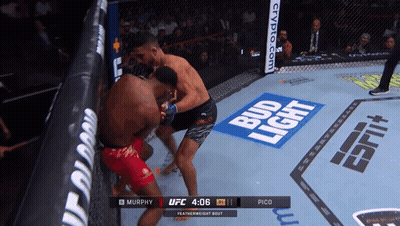 Two Men Fighting In Boxing Ring With Bud Light Ads GIF