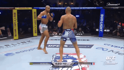 Two Men Fighting In Boxing Ring With Bud Light Ads GIF
