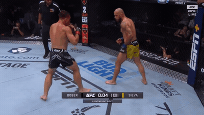 Two Men Fighting In Boxing Ring With Bud Light Ads GIF