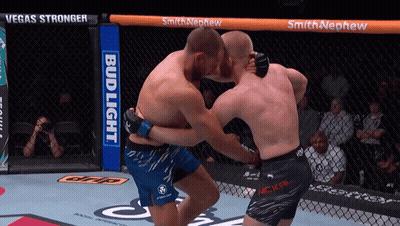 Two Men Fighting In Boxing Ring With Bud Light Advertisement GIF