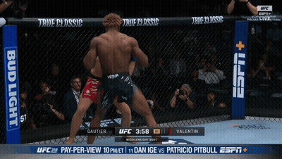 Two Men Fighting In Boxing Ring With Bud Light Banner GIF