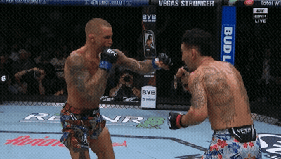 Two Men Fighting In Boxing Ring With Bud Light Banner GIF