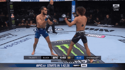 Two Men Fighting In Boxing Ring With Bud Light Banner GIF