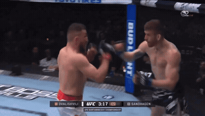 Two Men Fighting In Boxing Ring With Budweiser Ad GIF