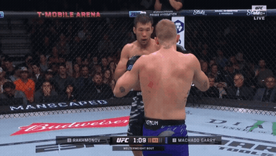 Two Men Fighting In Boxing Ring With Budweiser Ad GIF