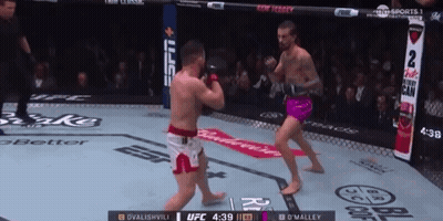 Two Men Fighting In Boxing Ring With Budweiser Ad GIF