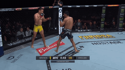 Two Men Fighting In Boxing Ring With Budweiser Banner GIF