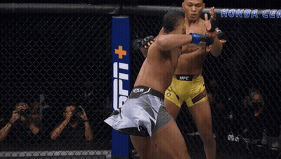 Two Men Fighting In Boxing Ring With Honda Ad GIF