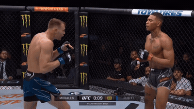 Two Men Fighting In Boxing Ring With Howler Head Ad GIF