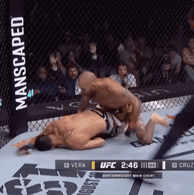 Two Men Fighting In Boxing Ring With Manscaped Banner GIF