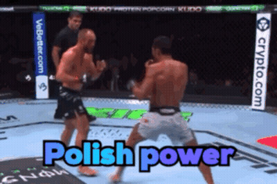 Two Men Fighting In Boxing Ring With Polish Power GIF