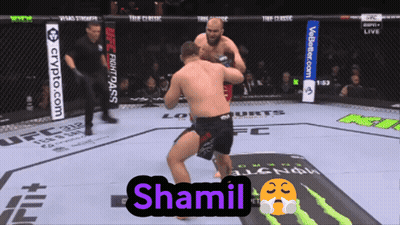 Two Men Fighting In Boxing Ring With Shamil GIF