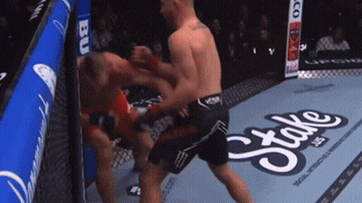 Two Men Fighting In Boxing Ring With Stake Logo GIF