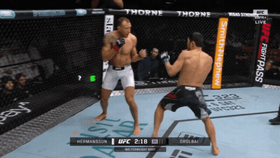 Two Men Fighting In Boxing Ring With Thorne And Smith & Nephew Ads GIF