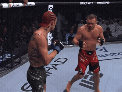 Two Men Fighting In Boxing Ring With UFC GIF