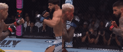 Two Men Fighting In Boxing Ring With UFC Gloves GIF