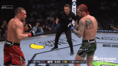 Two Men Fighting In Boxing Ring With UFC Logo GIF
