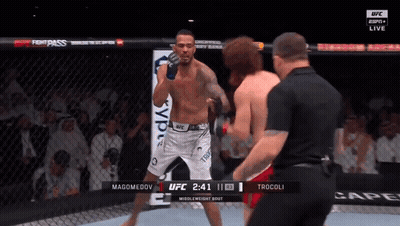 Two Men Fighting In Boxing Ring With UFC Logo GIF