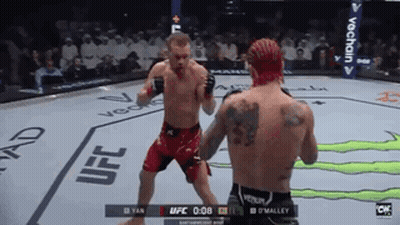 Two Men Fighting In Boxing Ring With UFC GIF