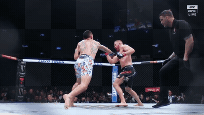 Two Men Fighting In Boxing Ring With UFC GIF