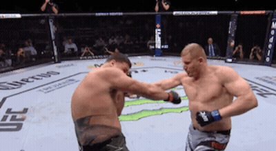 Two Men Fighting In Boxing Ring With UFC Shorts GIF