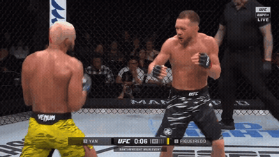 Two Men Fighting In Cage One Wearing Venum Shorts GIF