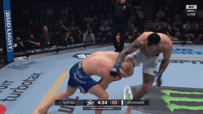 Two Men Fighting In Cage With Bud Light Banner GIF