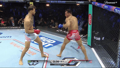 Two Men Fighting In Cage With Bud Light Sign GIF