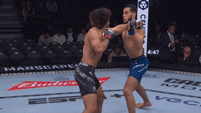 Two Men Fighting In Cage With Budweiser Banner GIF