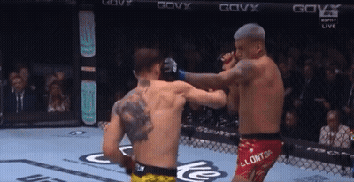 Two Men Fighting In Cage With Govx On Walls GIF