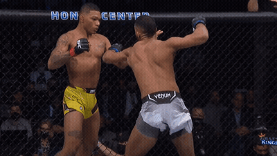 Two Men Fighting In Cage With Honda Center Sign GIF
