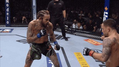 Two Men Fighting In Cage With Neds GIF