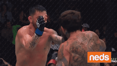 Two Men Fighting In Cage With Neds Written In Corner GIF