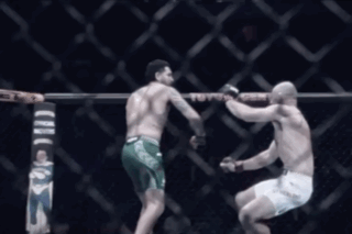 Two Men Fighting In Cage With Toyota Banner GIF