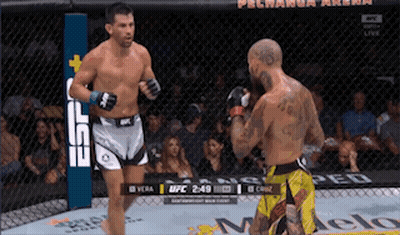 Two Men Fighting In Cage With UFC Sign GIF