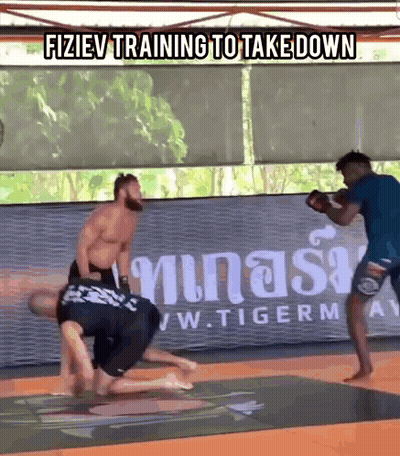 Two Men Fighting In Gym Fiziev Training To Take Down GIF