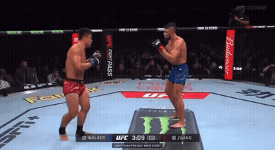 Two Men Fighting In Ring With Budweiser Ad GIF