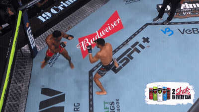 Two Men Fighting In Ring With Budweiser Advertisement GIF