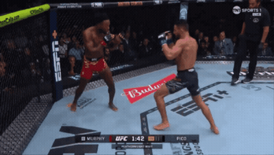 Two Men Fighting In Ring With Budweiser Advertisement GIF