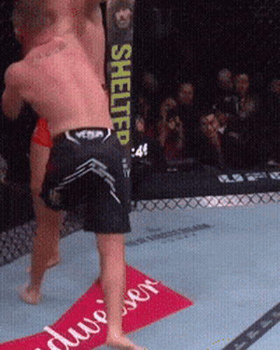 Two Men Fighting In Ring With Shelter Sign GIF