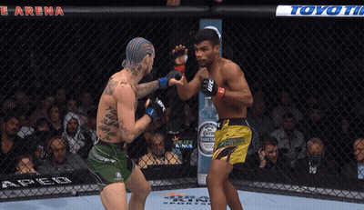 Two Men Fighting In Ring With Toyota Ad GIF