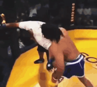 Two Men Fighting In Ring With UFC Sign GIF
