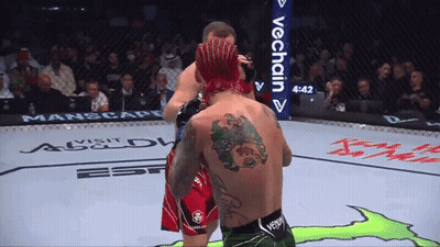 Two Men Fighting In Ring With VeChain Sign GIF