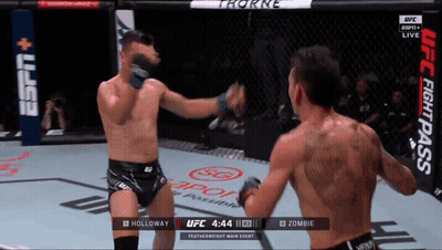 Two Men Fighting In UFC Cage GIF