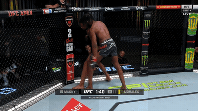 Two Men Fighting In UFC Cage With Morales Winning 1:40 GIF