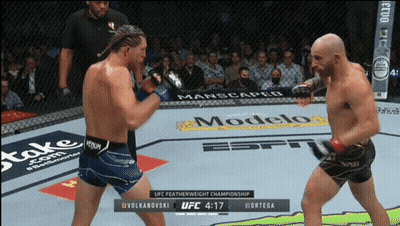 Two Men Fighting In UFC Featherweight Championship GIF