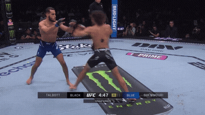 Two Men Fighting In UFC Ring With Bud Light GIF