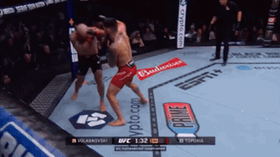 Two Men Fighting In UFC Ring With Budweiser Ad GIF