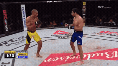 Two Men Fighting In UFC Ring With Budweiser Ad GIF